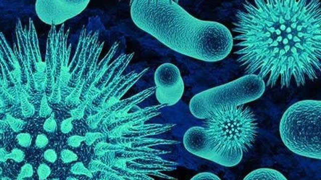 atai Life Sciences builds clinical momentum in first quarter of 2025